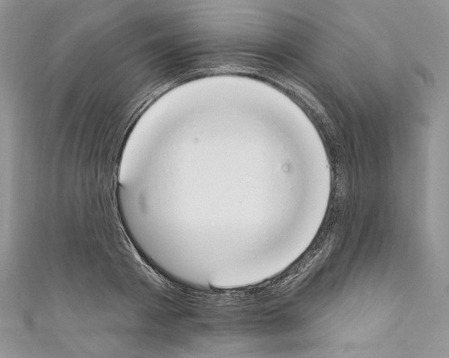 X0000110740793200907271100