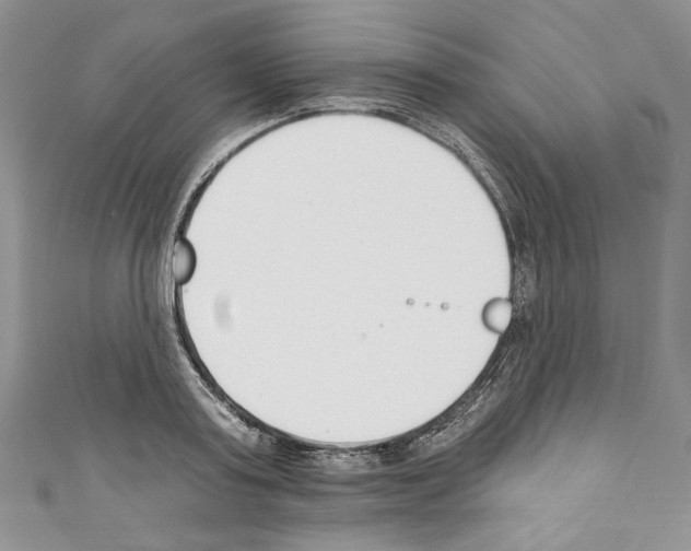 X0000110740795200907271100