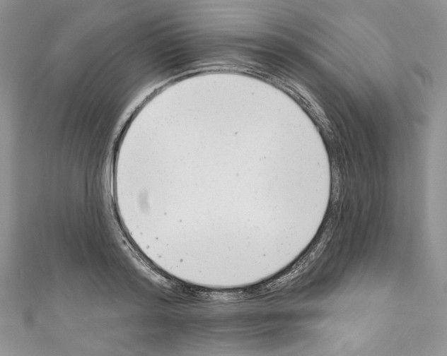 X0000110740796200907271100