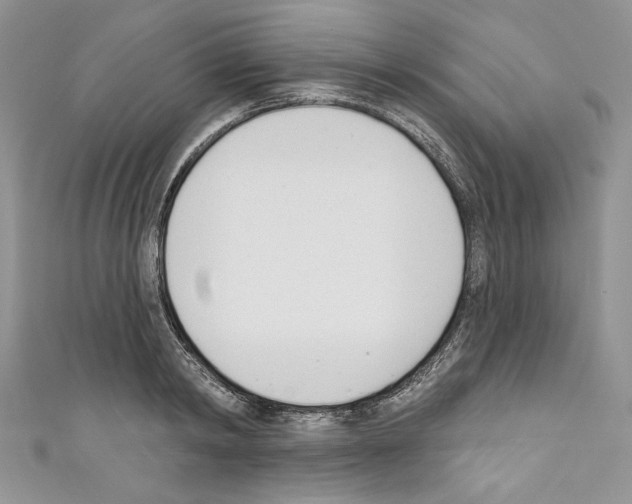 X0000110740798200907271100