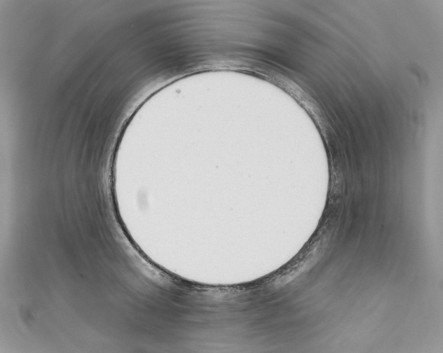 X0000110740803200907271100