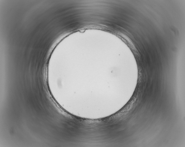X0000110740804200907271100