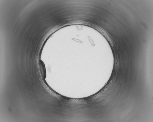 X0000110740805200907271100