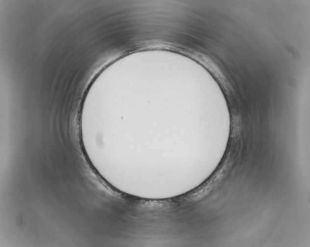 X0000110740806200907271100