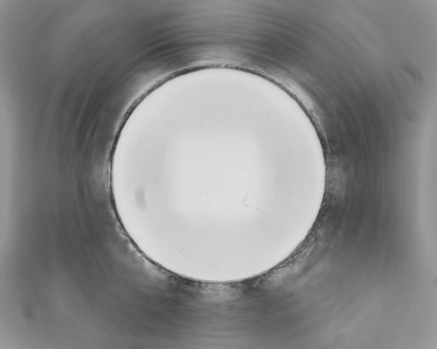 X0000110740807200907271100
