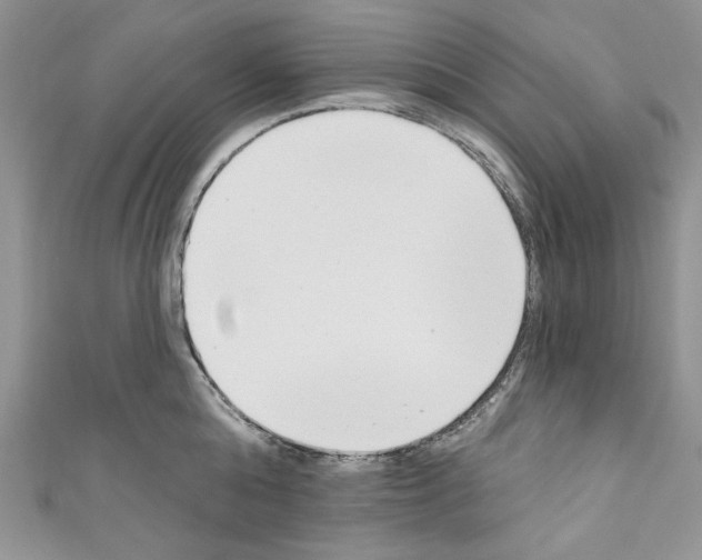 X0000110740808200907271100