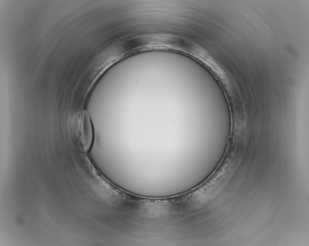 X0000110740809200907271100