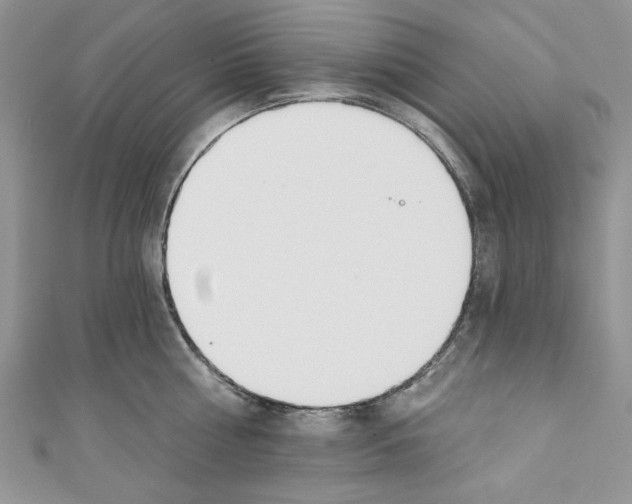 X0000110740810200907271100