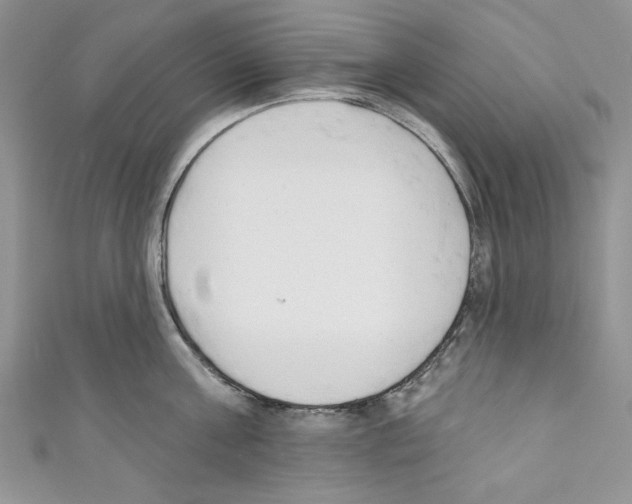 X0000110740811200907271100