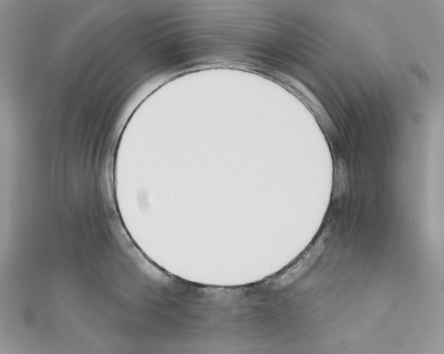 X0000110740812200907271100