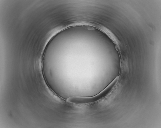 X0000110740813200907271100