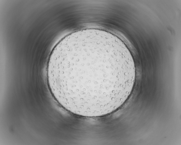 X0000110740814200907271100