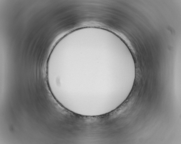 X0000110740815200907271100
