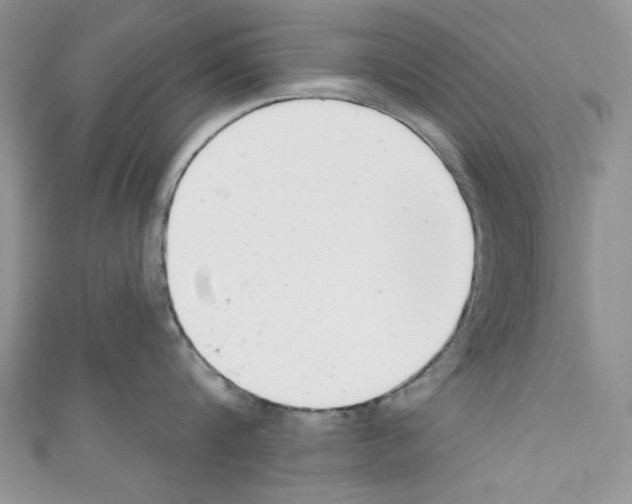 X0000110740816200907271100