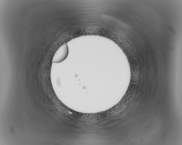 X0000110740817200907271059