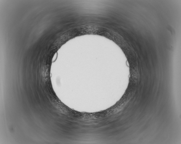 X0000110740818200907271059