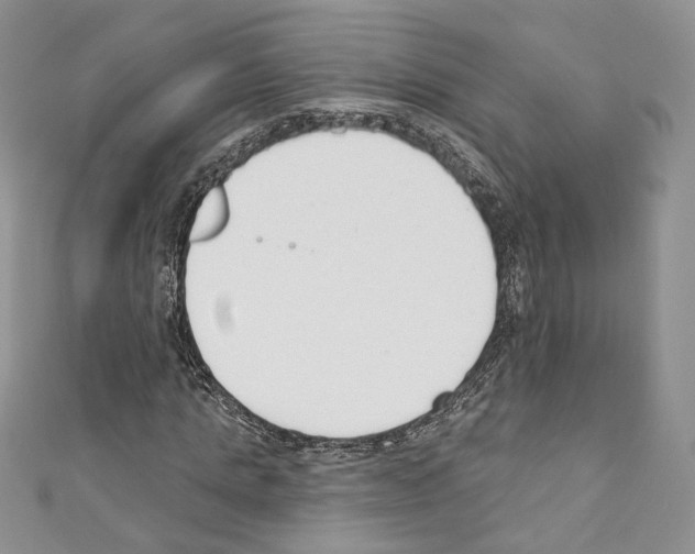 X0000110740821200907271059