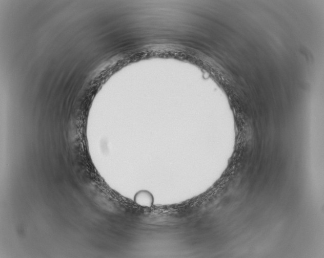 X0000110740824200907271100
