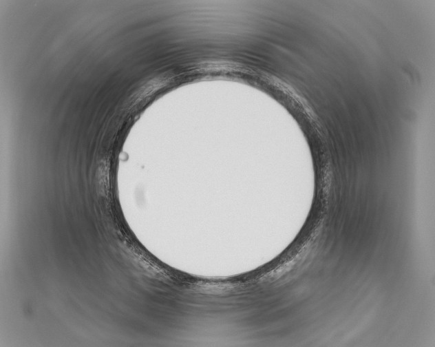 X0000110740825200907271100