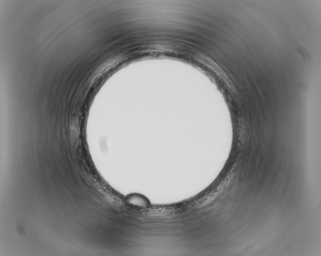 X0000110740826200907271100