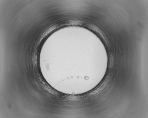 X0000110740827200907271100