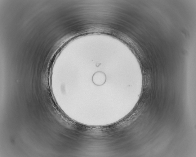 X0000110740828200907271100