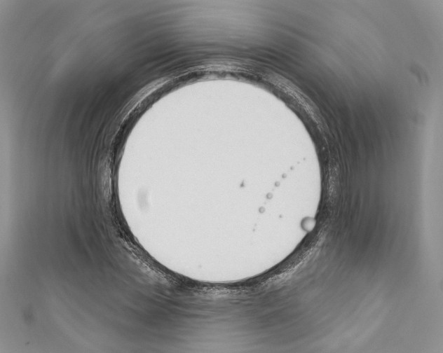 X0000110740829200907271100