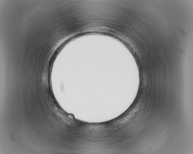 X0000110740830200907271100