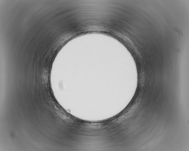 X0000110740833200907271100
