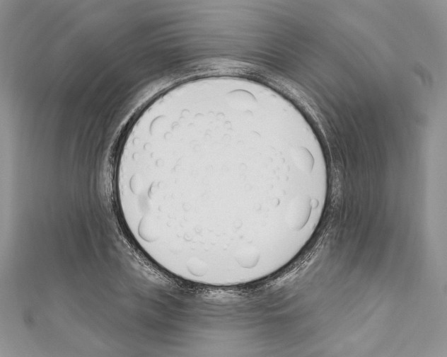 X0000110740835200907271100