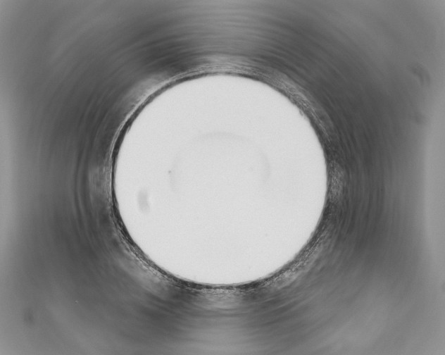 X0000110740836200907271100