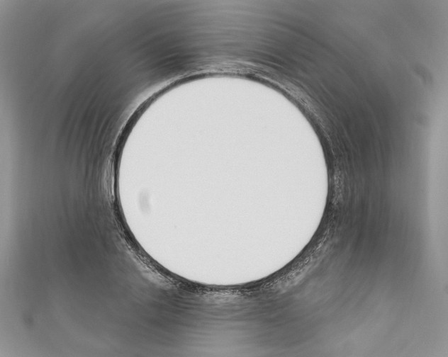 X0000110740838200907271100