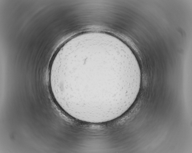 X0000110740839200907271100
