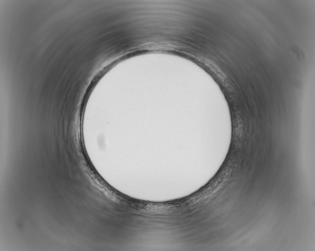 X0000110740840200907271100