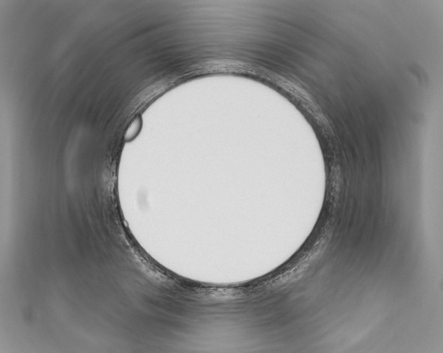 X0000110740841200907271100