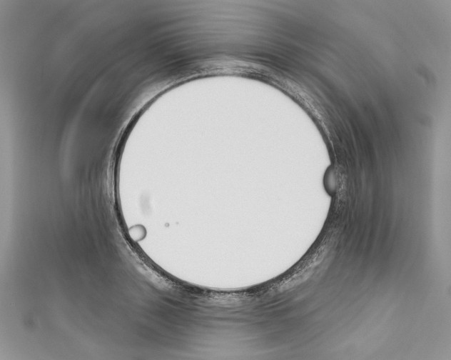 X0000110740843200907271100