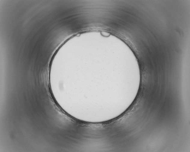 X0000110740844200907271100