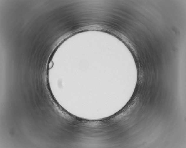 X0000110740845200907271100