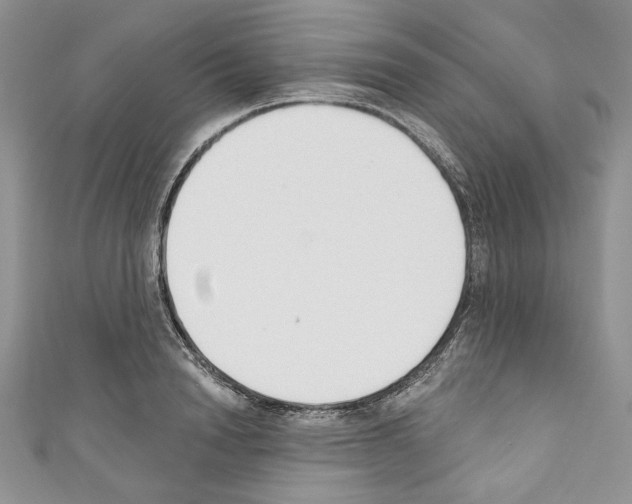 X0000110740846200907271100