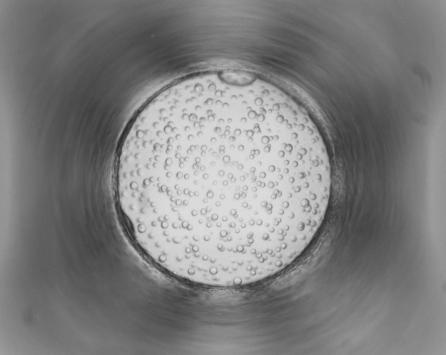 X0000110740847200907271100