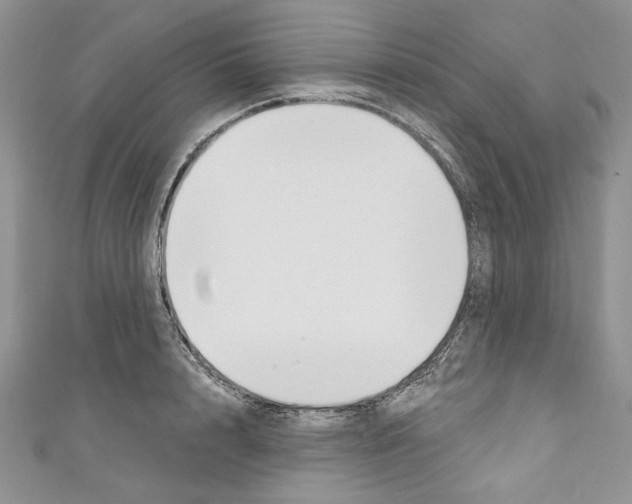 X0000110740848200907271100