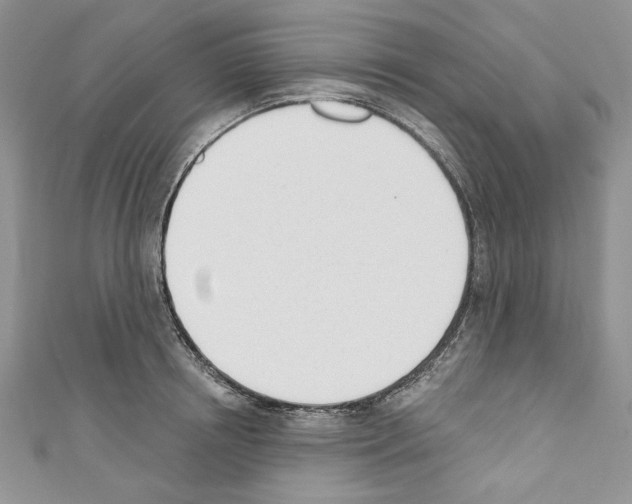 X0000110740850200907271100