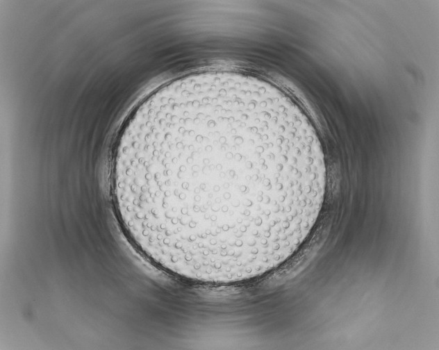X0000110740851200907271100