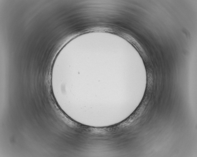 X0000110740852200907271100