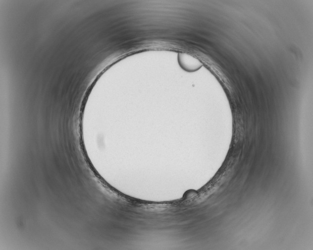 X0000110740853200907271100