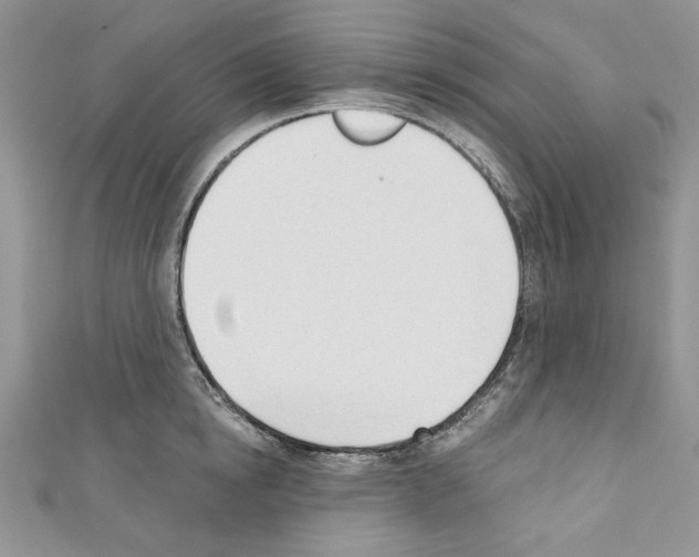X0000110740854200907271100