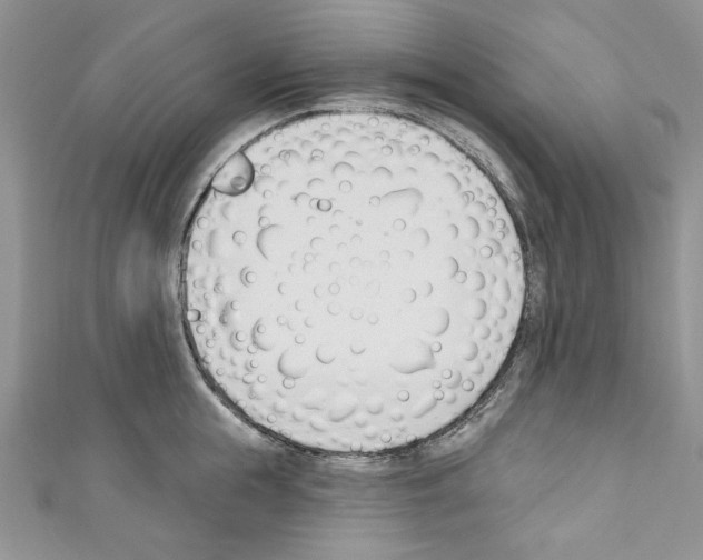 X0000110740855200907271100