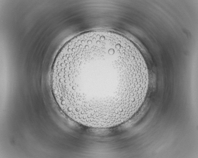 X0000110740856200907271100