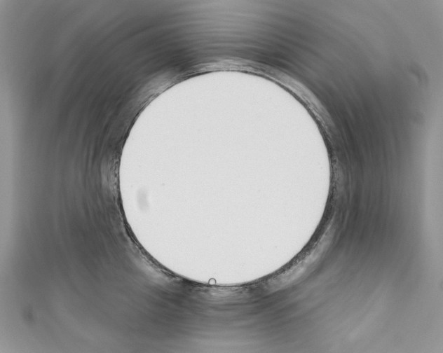 X0000110740857200907271100