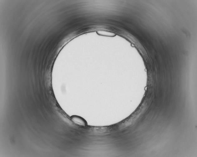 X0000110740858200907271100